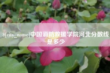 贺州中国消防救援学院河北分数线是多少