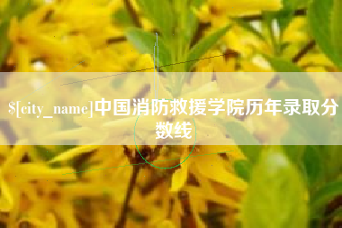 贺州中国消防救援学院历年录取分数线