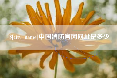 贺州中国消防官网网址是多少