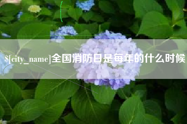 贺州全国消防日是每年的什么时候