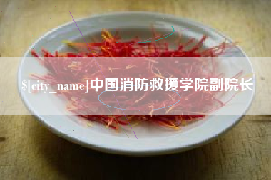 贺州中国消防救援学院副院长