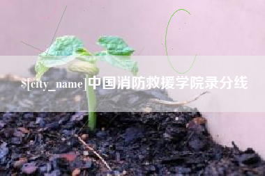 贺州中国消防救援学院录分线