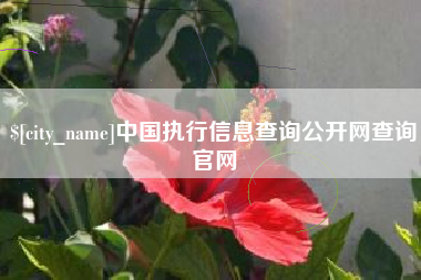 贺州中国执行信息查询公开网查询官网