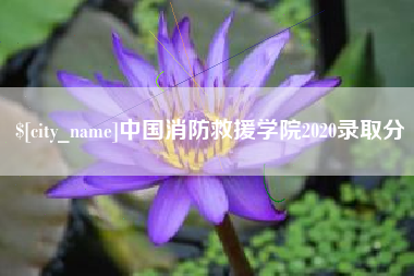 贺州中国消防救援学院2020录取分