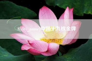 贺州中国十九枚金牌