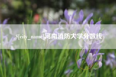 贺州河南消防大学分数线