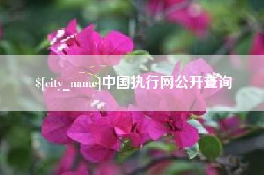 贺州中国执行网公开查询