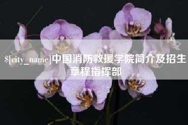 贺州中国消防救援学院简介及招生章程指挥部