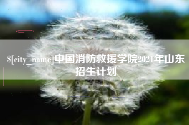 贺州中国消防救援学院2021年山东招生计划
