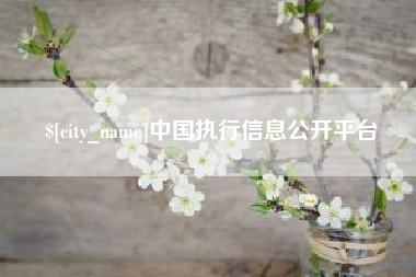 贺州中国执行信息公开平台