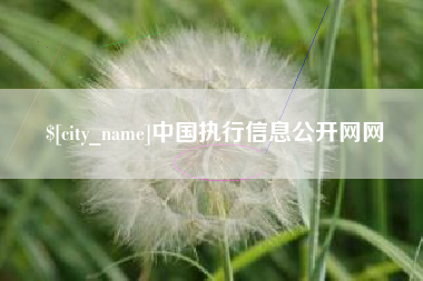 贺州中国执行信息公开网网