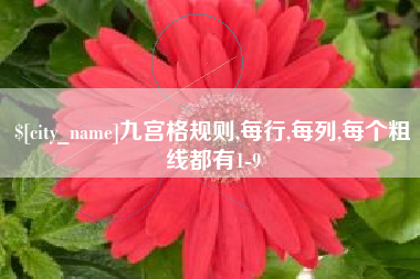 贺州九宫格规则,每行,每列,每个粗线都有1-9