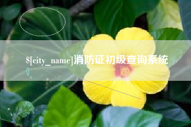 贺州消防证初级查询系统