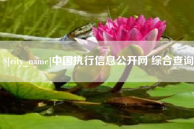 贺州中国执行信息公开网 综合查询