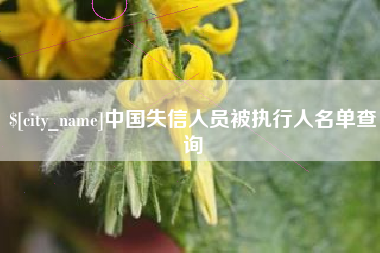 贺州中国失信人员被执行人名单查询