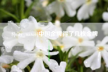 贺州中国金牌得了几枚金牌
