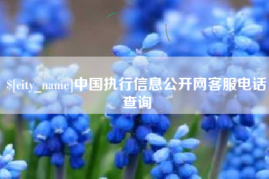 贺州中国执行信息公开网客服电话查询