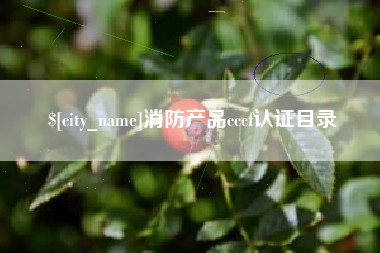 贺州消防产品cccf认证目录