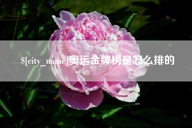 贺州奥运金牌榜是怎么排的