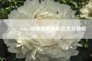 贺州河南消防学校招生分数线