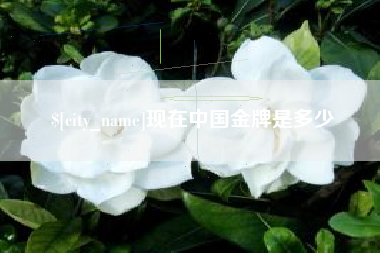 贺州现在中国金牌是多少