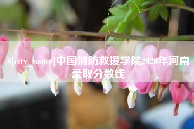 贺州中国消防救援学院2020年河南录取分数线
