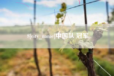 贺州中国队 冠军