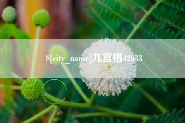 贺州九宫格42633