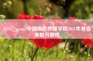 贺州中国消防救援学院2021年各省录取分数线