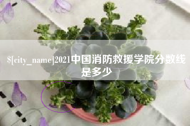 贺州2021中国消防救援学院分数线是多少