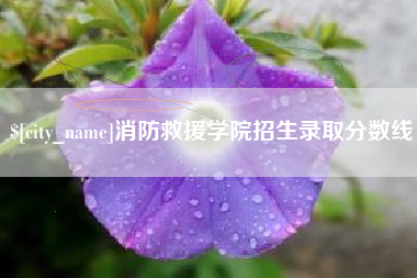 贺州消防救援学院招生录取分数线