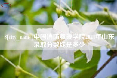 贺州中国消防救援学院2021年山东录取分数线是多少