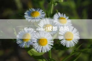 贺州成都 消防