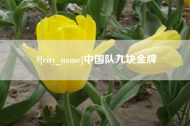 贺州中国队九块金牌