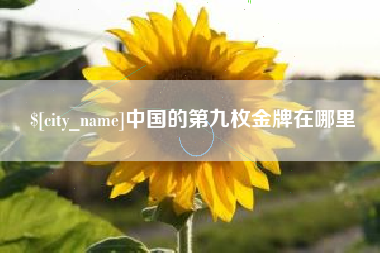 贺州中国的第九枚金牌在哪里
