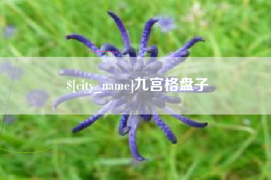 贺州九宫格盘子