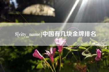 贺州中国有几块金牌排名