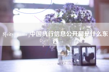 贺州中国执行信息公开网是什么东西
