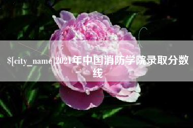 贺州2021年中国消防学院录取分数线