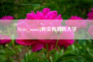 贺州有没有消防大学