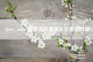 贺州国家消防救援队伍报名网址