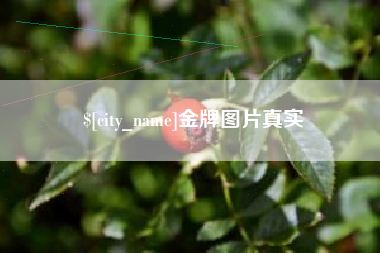 贺州金牌图片真实
