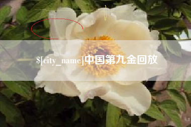 贺州中国第九金回放