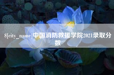 贺州中国消防救援学院2021录取分数