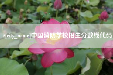贺州中国消防学校招生分数线代码