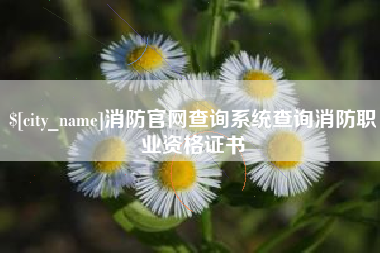 贺州消防官网查询系统查询消防职业资格证书