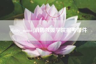 贺州消防救援学院报考条件