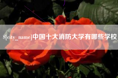 贺州中国十大消防大学有哪些学校