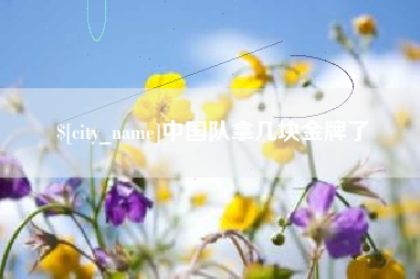 贺州中国队拿几块金牌了