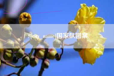 贺州国家队图案